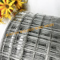 Electric galvanized welded wire mesh roll